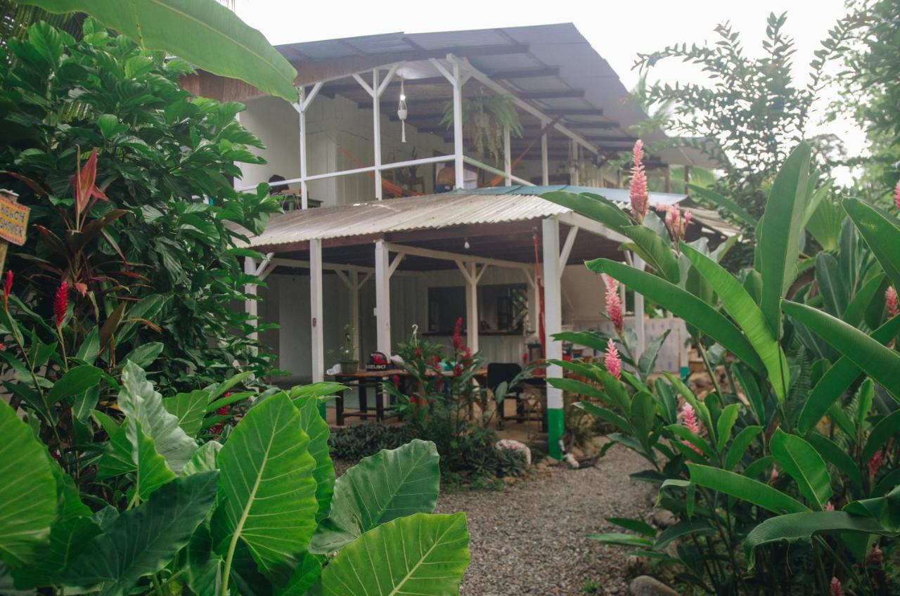 Casa Bohoe Puerto Viejo de Talamanca المظهر الخارجي الصورة