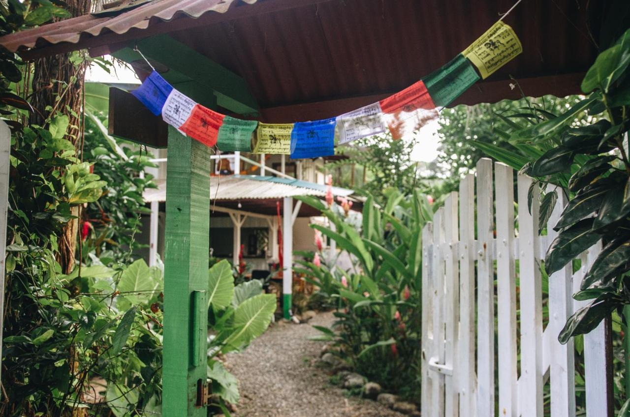 Casa Bohoe Puerto Viejo de Talamanca المظهر الخارجي الصورة