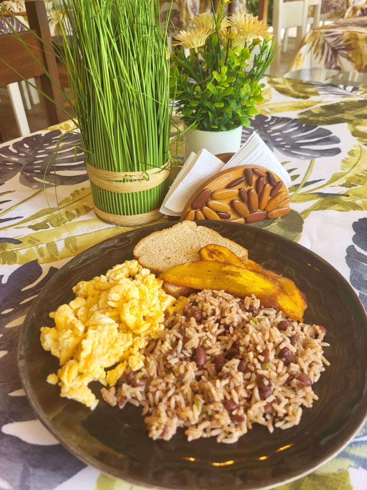 Casa Bohoe Puerto Viejo de Talamanca المظهر الخارجي الصورة